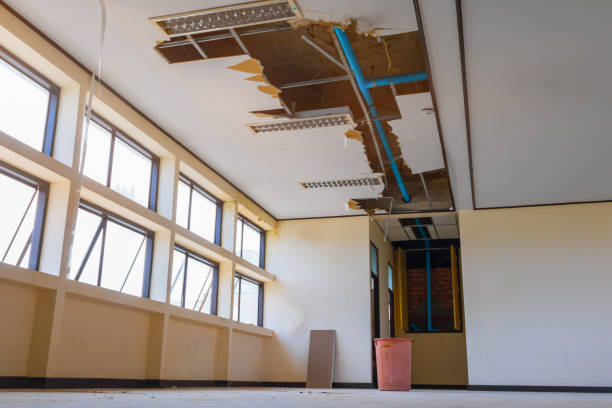 Best Residential water damage restoration  in Oak Brook, IL