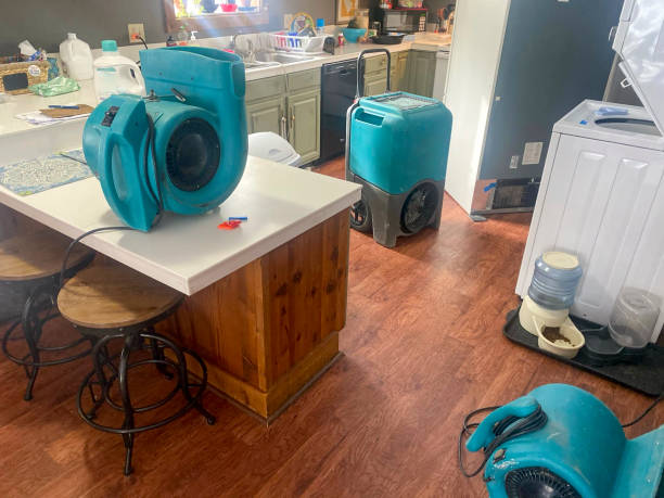 Best Water damage cleanup near me  in Oak Brook, IL
