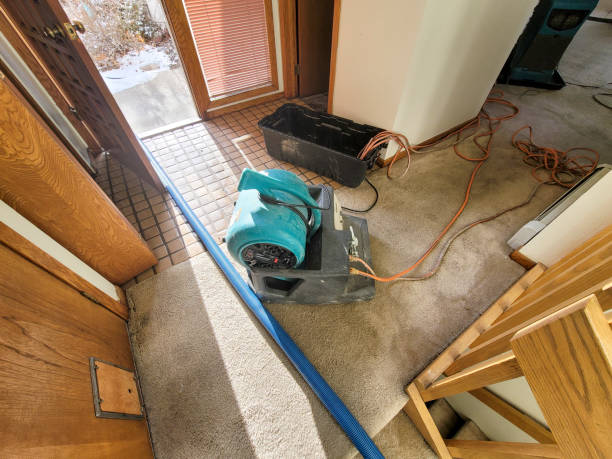 Best Flood damage cleanup  in Oak Brook, IL