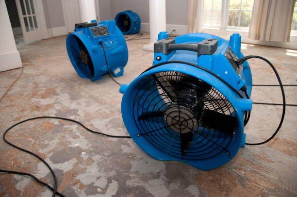 Best Professional water damage repair  in Oak Brook, IL