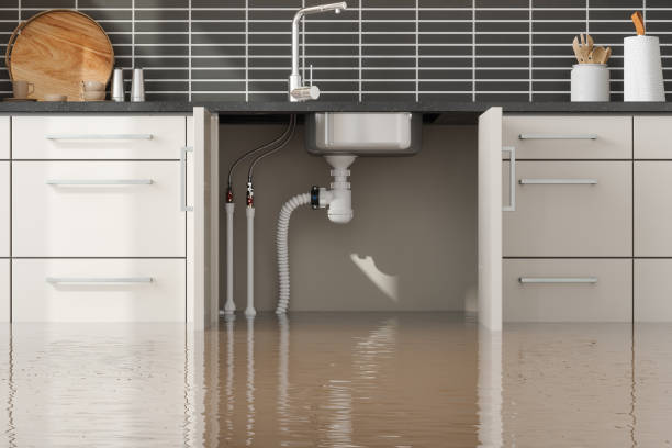 Best Basement water damage restoration  in Oak Brook, IL